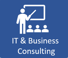 IT & Business Consulting